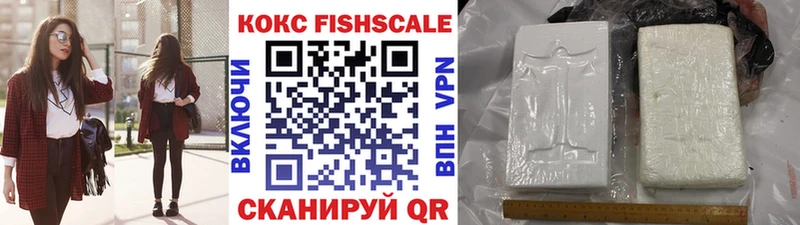 Купить  Воткинск  COCAIN Fish Scale 