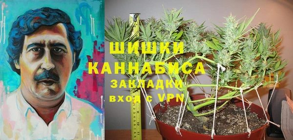 эйфоретик Краснослободск
