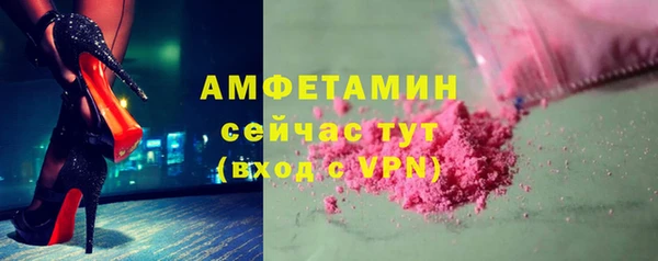 индика Коряжма