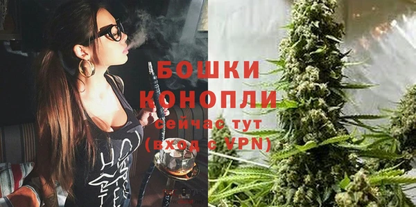 эйфоретик Краснослободск
