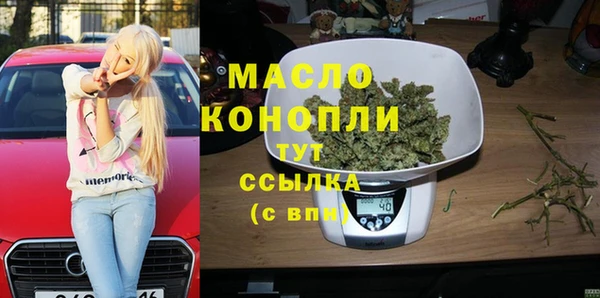 индика Коряжма