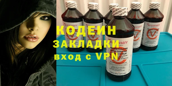 индика Коряжма
